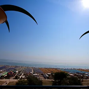 Palm Sea View Hotel Rimini